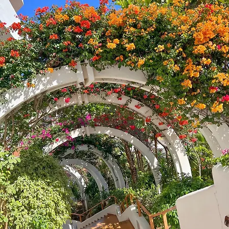 Tenerife Paradise Anna Studio Costa Adeje  Exterior photo