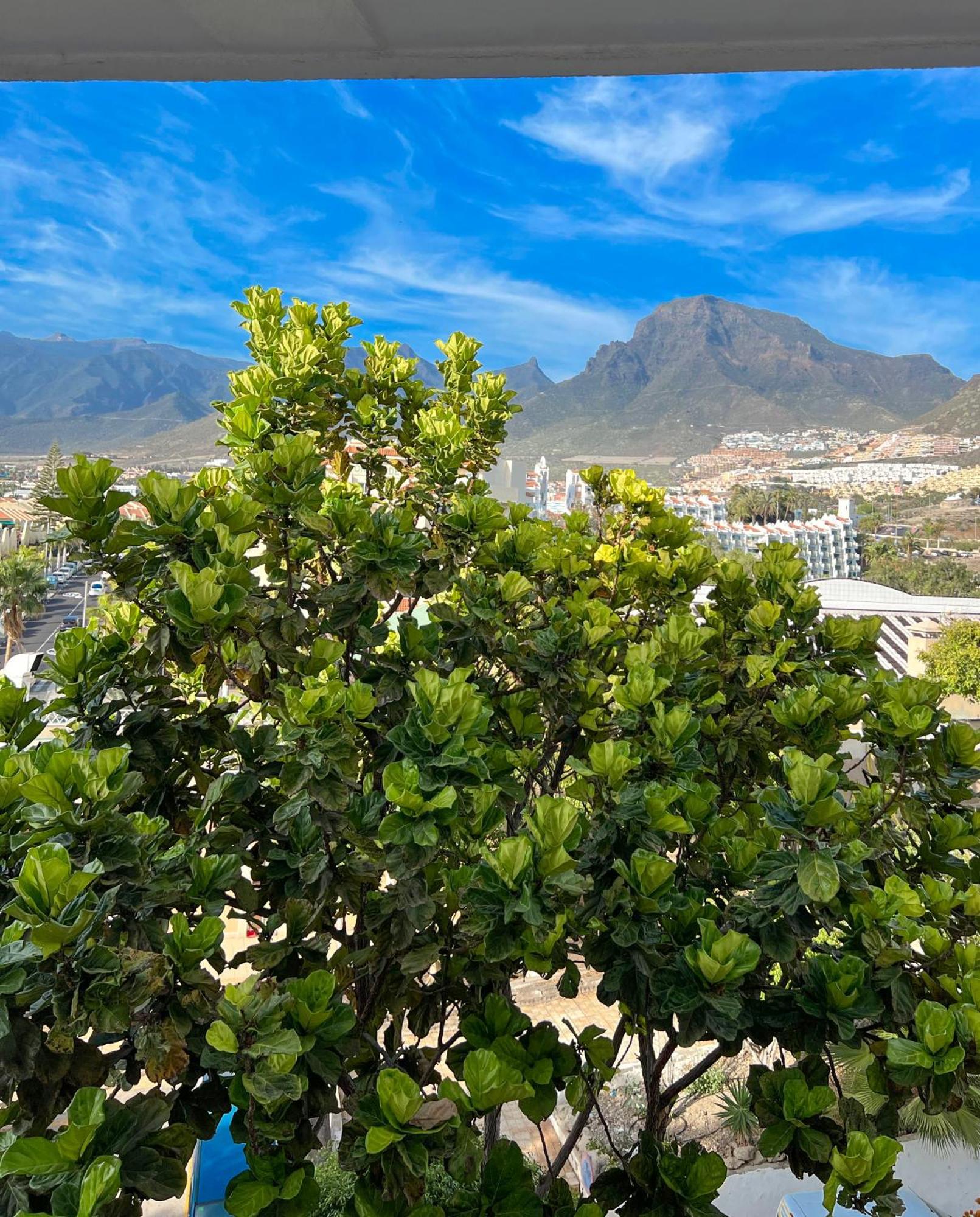 Apartment Tenerife Paradise Anna Costa Adeje (Tenerife)