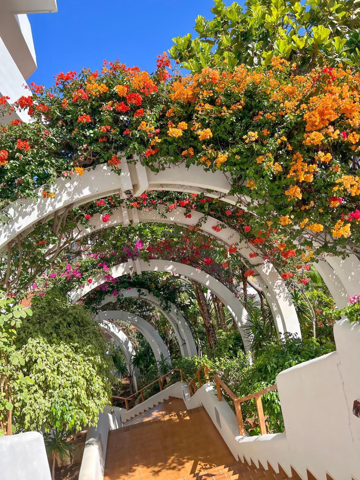 Tenerife Paradise Anna Apartment